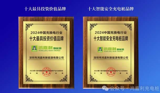 匠心致远，载誉前行：2024年世博体育新能源荣获充换电十大品牌奖！(图5)